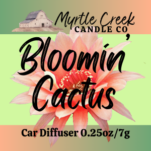 Car Diffusers