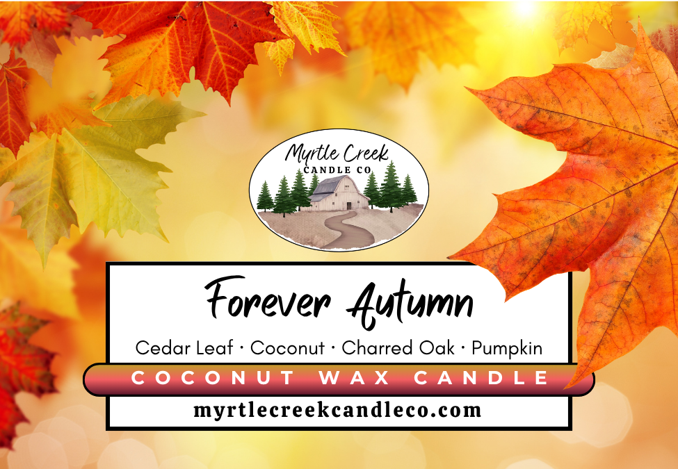 The Fall Collection